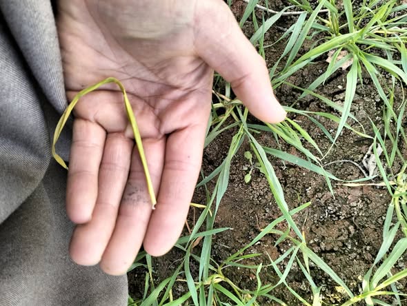 السلام عليكم ورحمة الله وبركاته ممكن تشخيص للأعراض وعلاجها